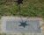 Gravestone of Myron Alvin Ellingboe (1918-1979)
